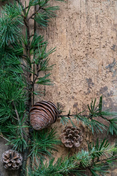 Neujahr Weihnachten Hintergrund Mit Tannenzweigen Und Zapfen Auf Vertikaler Holzoberfläche — Stockfoto