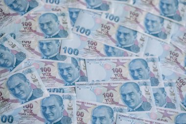 Türk Lirası ve 100 lira 'lık geçmişi olan Türkiye Cumhuriyeti para biriminin seçici odak ve gürültü etkilerine sahip olduğuna dikkat çekiyor