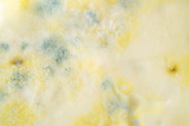 Küflü yiyecekler, yoğurt ya da süt ürünleri gıda yüzeyindeki küf artışı son kullanma tarihini aştı. Çürük yiyecek yüzeyi