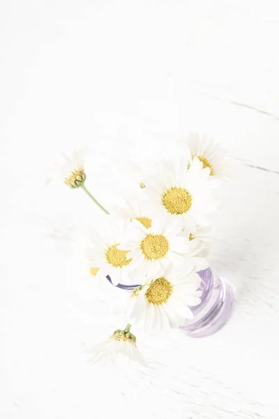Százszorszép Virágok Friss Gyönyörű Fehér Százszorszép Csokrok Vázában Asztalon Vagy — Stock Fotó