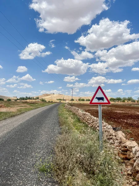road, farm animal crossing traffic sign by an empty asphalt road leads to village in countryside under beautiful blue sky with white clouds in a sunny day. travel concept photo