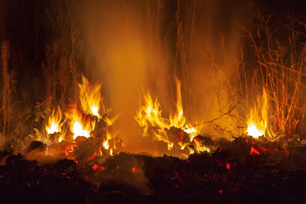 Noc ogień — Zdjęcie stockowe
