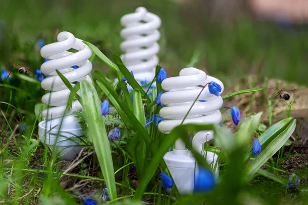 봄 꽃 들 사이에서 에너지 절약 램프 — 스톡 사진