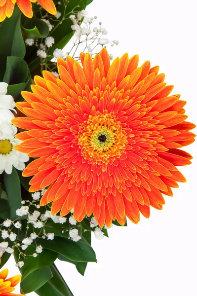 Fragment of bouquet of gerberas Royalty Free Stock Images