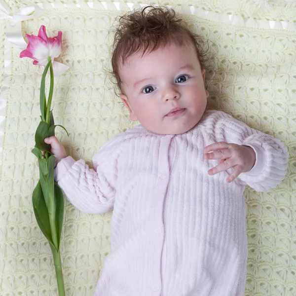 Säuglingsmost mit Blumen — Stockfoto