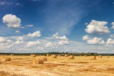 güzel kırsal manzara