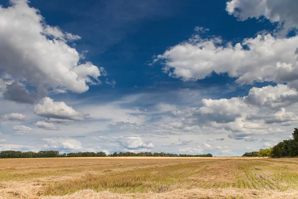 Agrarlandschaft — Stockfoto