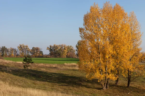 Осінній краєвид — стокове фото