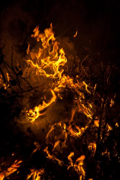 Nachtfeuer — Stockfoto