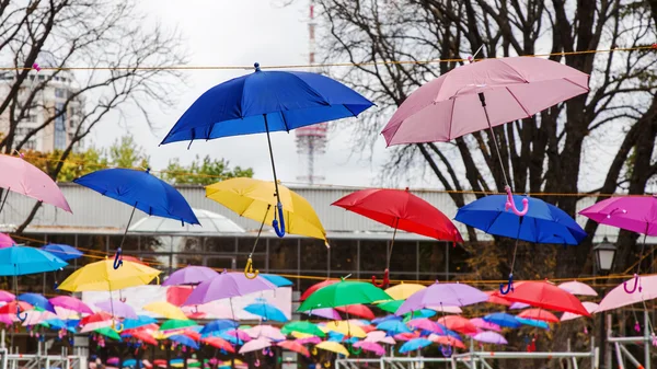 Festival şemsiye — Stok fotoğraf