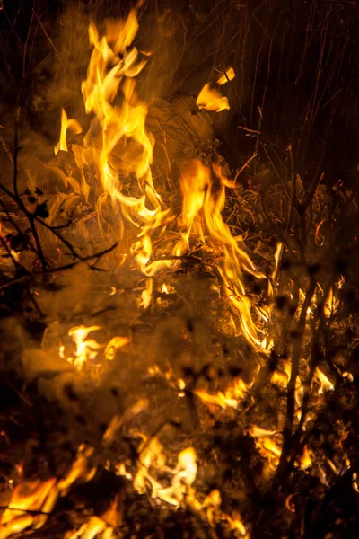 Fogo noturno — Fotografia de Stock