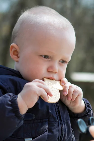 Criança com cookies — Fotografia de Stock