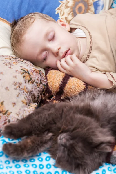 少年は猫と寝る — ストック写真