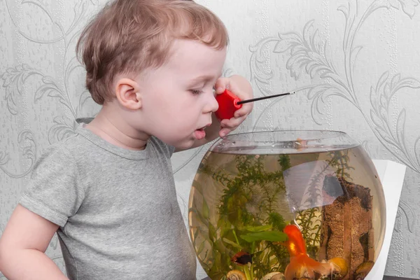 Pojke fångar fisk i akvarium — Stockfoto