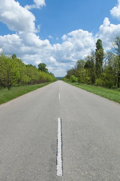 Road in the countryside — Stock Photo, Image