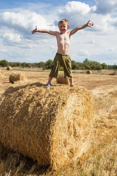 Niño de pie en paja de paca — Foto de Stock