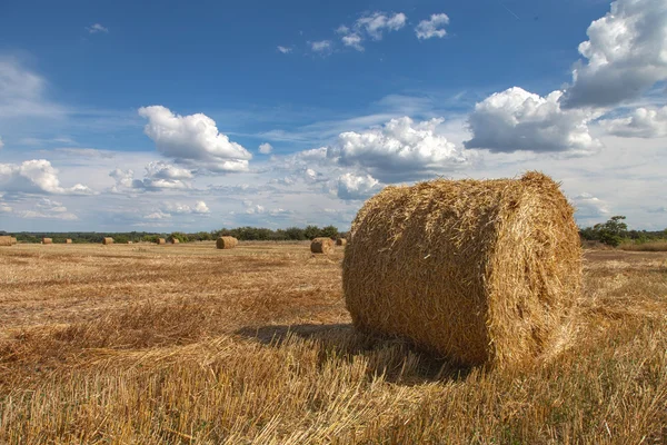 Beautiful countryside landscape — Stock Photo, Image