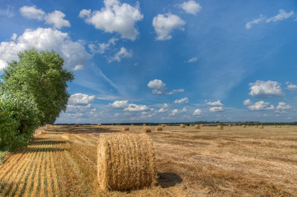 Beautiful countryside landscape — Stock Photo, Image