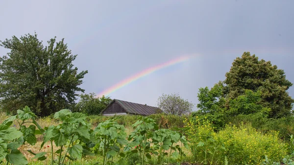 Regenboog — Stockfoto