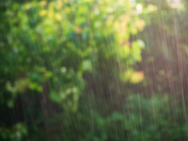 Bulanık Yağmur Damlaları Yeşil Doğa Ile Bulanık Arka Plan Batan — Stok fotoğraf
