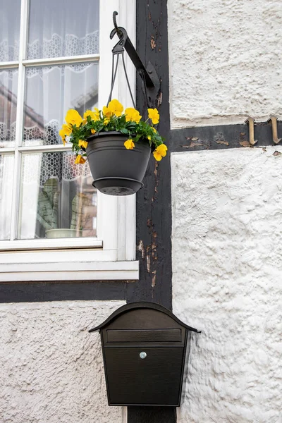 Bloempotten Een Brievenbus Opgehangen Aan Muur — Stockfoto