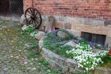 Küçük bir çiçek yatağı eski tarz çiçeklerle taşlarla döşelidir.