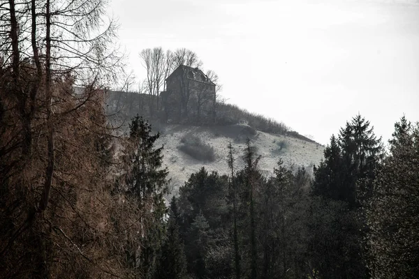 Maison Solitaire Dresse Sur Une Montagne Milieu Forêt Sombre — Photo