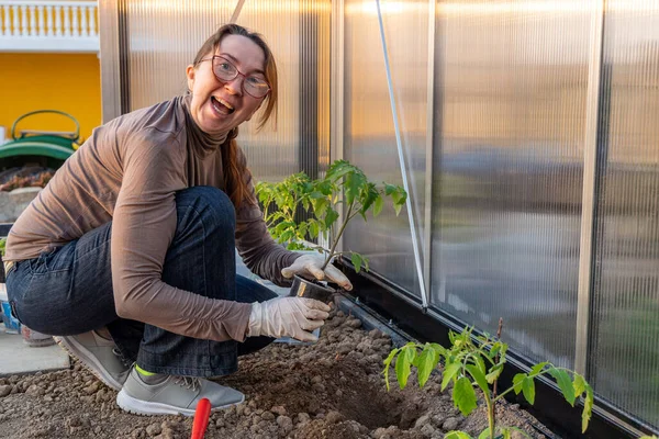 Woman Plants Tomato Seedlings Greenhouse — Stock Photo, Image