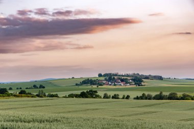 Çiftlik yeşil buğday tarlalarıyla çevrili, akşam kırsal araziyle.