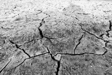 Cracked surface of a dried up lake
