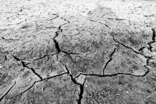 Cracked surface of a dried up lake