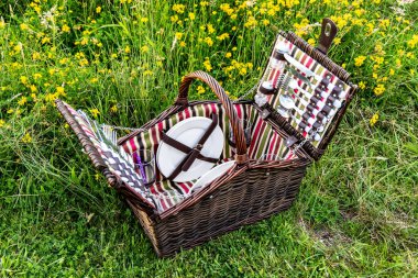 Wicker basket with picnic utensils stands in a meadow among green grass