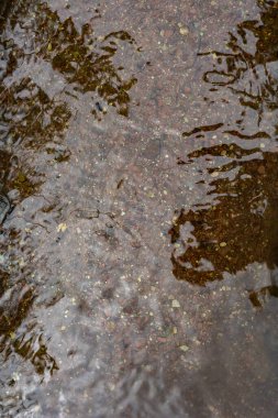 Nehirde kayalık dibi olan şeffaf su