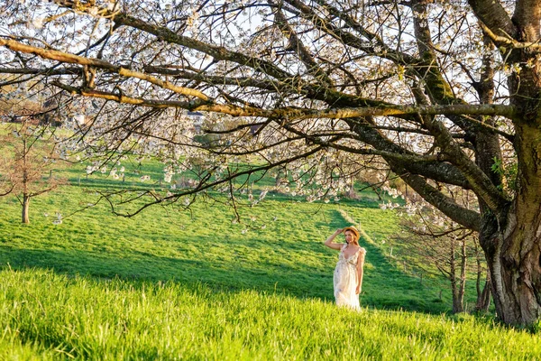 白いドレスを着た若い妊婦が桜の木の近くに立っている 夕日の光の中で美しい春の風景 — ストック写真