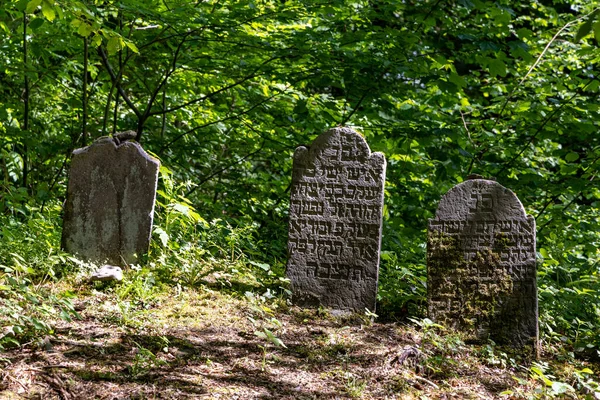 Almanya Daki Ormandaki Terk Edilmiş Antik Yahudi Mezarlığı — Stok fotoğraf