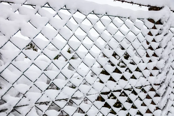 Ketting Link Hek Met Sneeuw Achtergrond Winter Close — Stockfoto