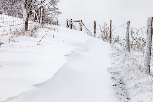 雪の道は冬に山の頂上につながります — ストック写真