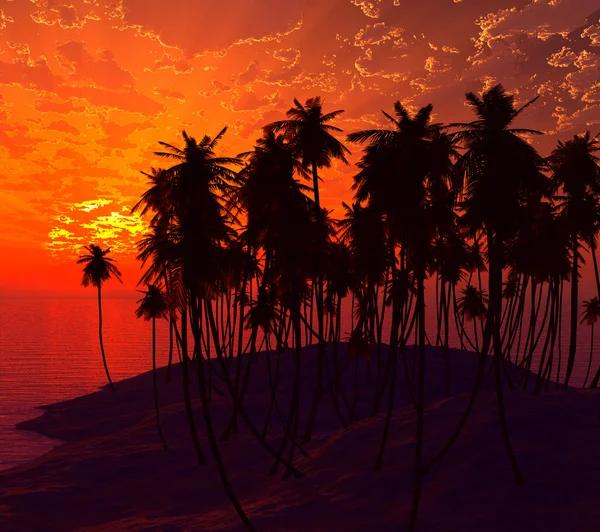 Palmen op zand strand — Stockfoto