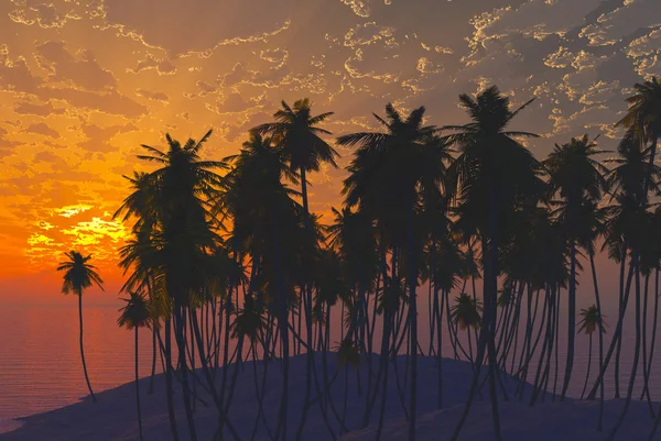 Palmen op zand strand — Stockfoto