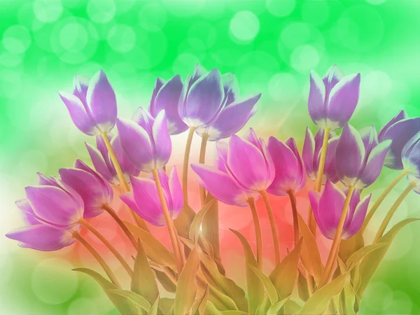 Abstracto flor fondo tulipán flores —  Fotos de Stock