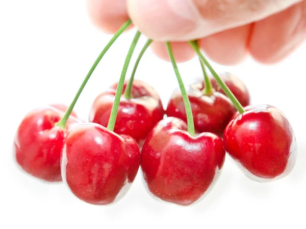 Cherry — Stock Photo, Image