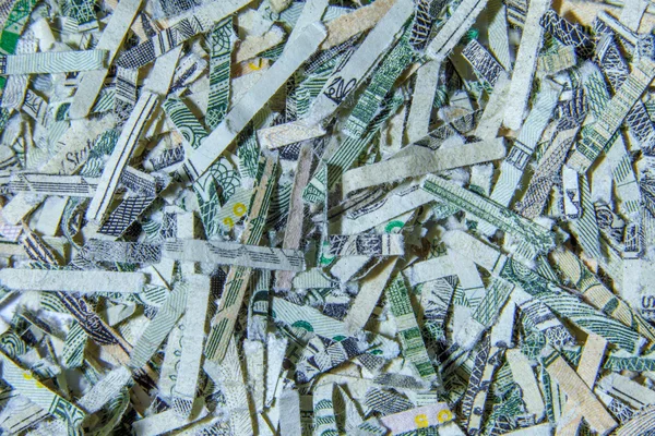 Shredded US Currency — Stock Photo, Image