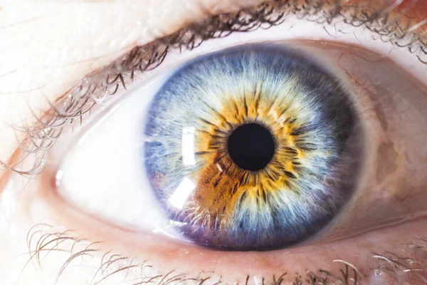Macro olho humano multicolorido — Fotografia de Stock