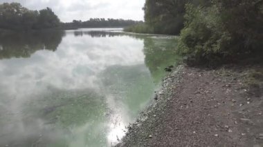 Suyla birlikte manzara. Yeşil su. Güneşin ve gökyüzünün sudaki yansıması. 4k video. nötr renk