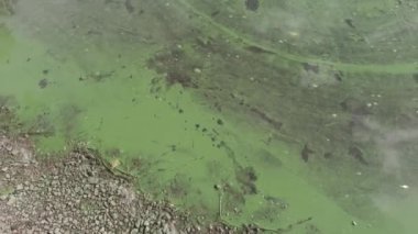 Suyla birlikte manzara. Yeşil su. Güneşin ve gökyüzünün sudaki yansıması. 4k video. nötr renk