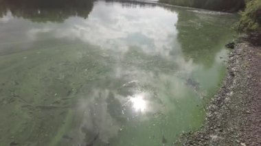 Suyla birlikte manzara. Yeşil su. Güneşin ve gökyüzünün sudaki yansıması. 4k video. nötr renk