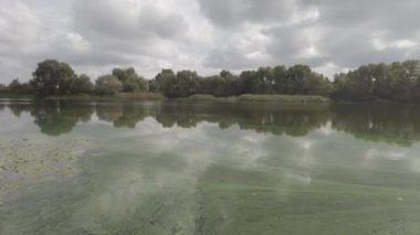 Suyla birlikte manzara. Yeşil su. Güneşin ve gökyüzünün sudaki yansıması. 4k video. nötr renk