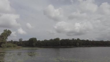 Suyla birlikte manzara. Yeşil su. Güneşin ve gökyüzünün sudaki yansıması. 4k video. nötr renk