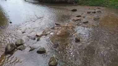 dağ nehri. Nehirlerin dibi çamurdan yapılmıştır. Hızlı su. Taşlar ve temiz su. Dar bir nehri olan manzara. dere ve şelale