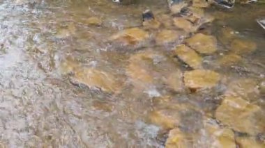 dağ nehri. Nehirlerin dibi çamurdan yapılmıştır. Hızlı su. Taşlar ve temiz su. Dar bir nehri olan manzara. dere ve şelale